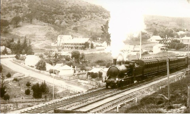 Picton Railway Station c1900s LDavey